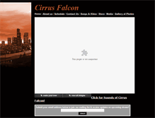 Tablet Screenshot of cirrusfalcon.com